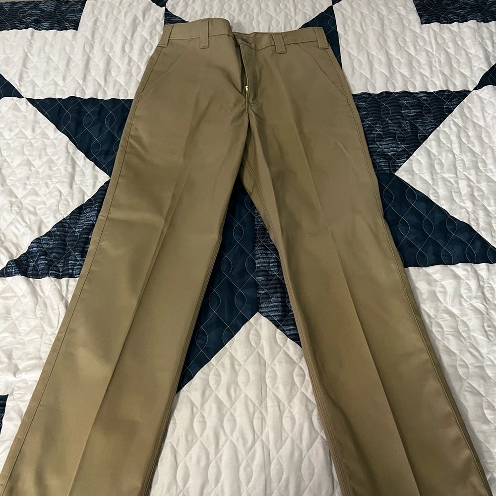 Carhart pants brand new never worn